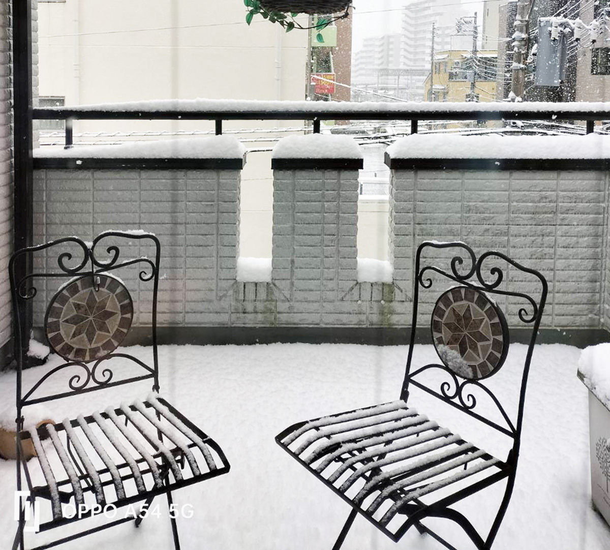 雪が積もるベランダ